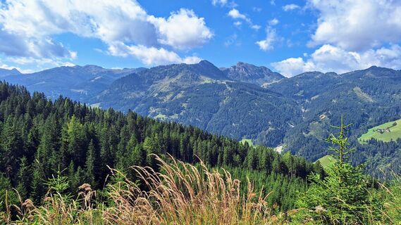 Fotografija s spletne strani Susi Puhl na poti
