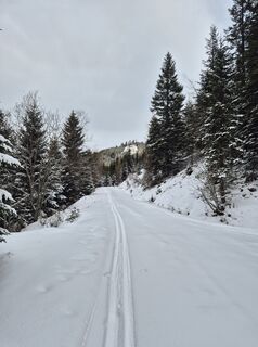 Foto von Arnulf Müller entlang der Tour