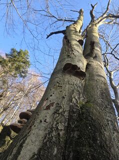 Fotografija s spletne strani Grażyna na poti