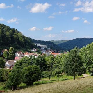 Blick auf Bad Herrenalb