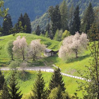 Straße nach Trat