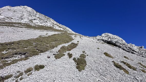 Foto de Mountain Cat ? ⛰️ a lo largo del recorrido