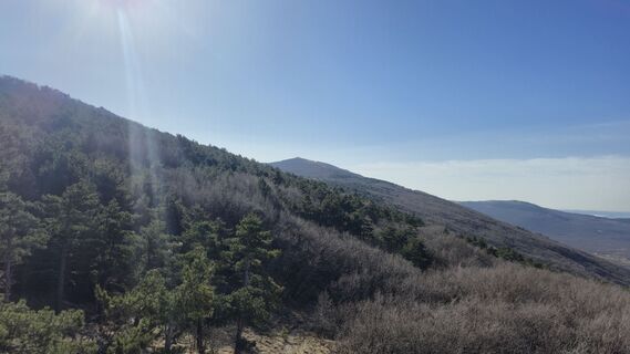 Фото с сайта Fabrizio Plesnizer во время экскурсии