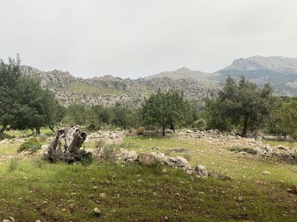 Foto från Rainer Pieper under resans gång