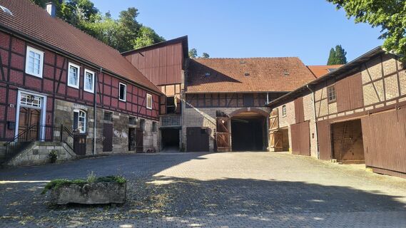 Foto von Sauerpurzel entlang der Tour