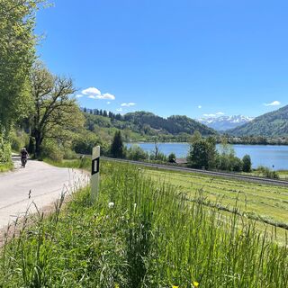 Panoramablick über den Alpsee