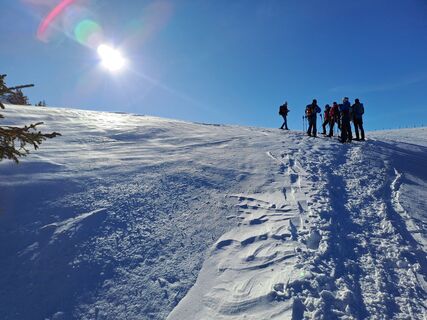 Fotografija s spletne strani greinerin na poti