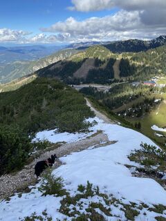 Fotografia z Florian Gerl na trase