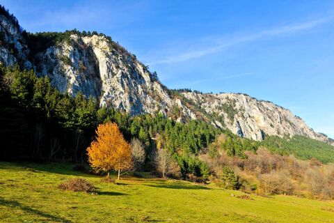 Hohe Wand