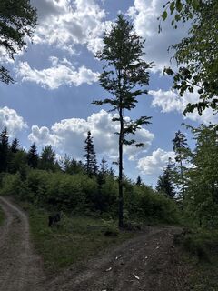 Fotografie z Luk Sob na trase