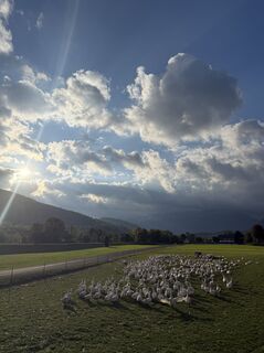 Photo de Tom le long du parcours