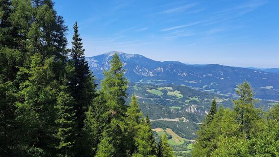 Foto från MoniMo under resans gång