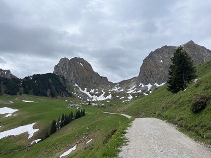 Foto fra Mevina Conrad underveis på turen