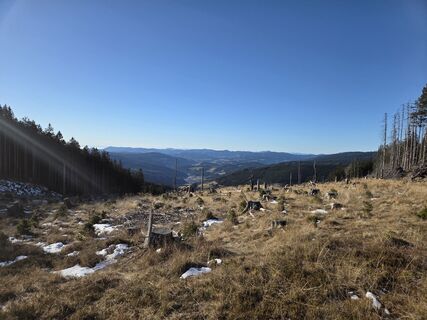 Foto von Zahrni78 entlang der Tour