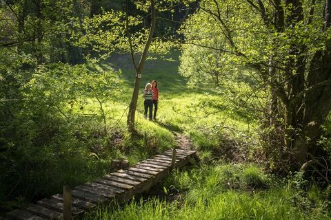 Unterwegs auf der Traumschleife Wehinger Viezpfad