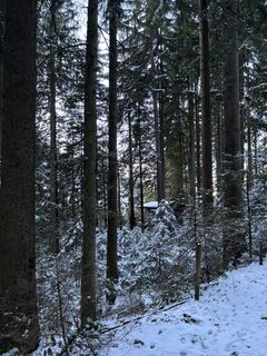 Foto von Thirawat Dellemann-Itchara entlang der Tour