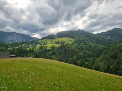 Foto von Grizli entlang der Tour