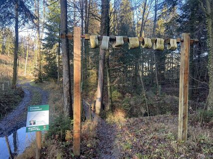 Wunderwanderweg Narrische Schwammerl