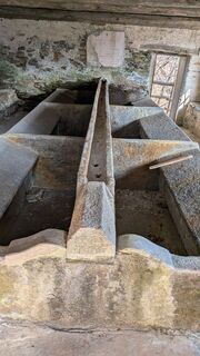 Photo de Margherita Polini le long du parcours