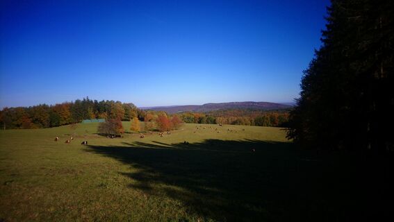 Fotografia z Betzenbergfex na trase
