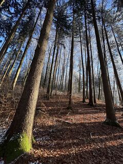Photo de Denise Miller le long du parcours