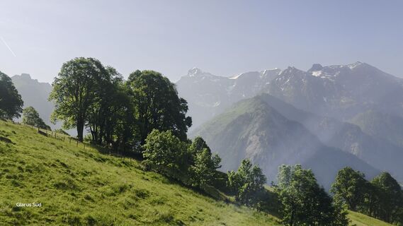 Zdjęcie z Markus Zweifel wzdłuż trasy
