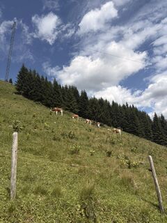 Foto von Felix Rietz entlang der Tour