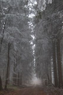 Fotografie z Günter Kleutsch na trase