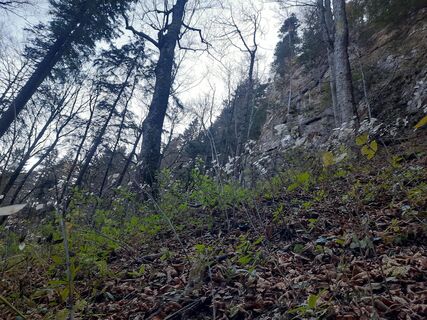 Фото с сайта Artemis83 во время экскурсии