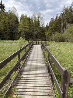 Fotografie z Babs Holz na trase