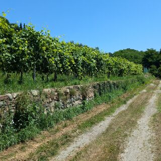 Schotterstraße nach der Burg Masino