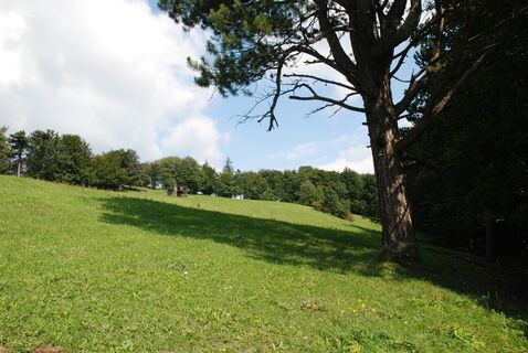 Wiese unterm Mittagskogel