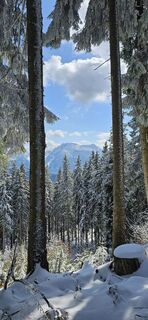 Fotografie z micsunel ciocirtau na trase