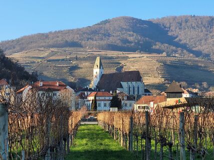 Fotografia z mmecki na trase