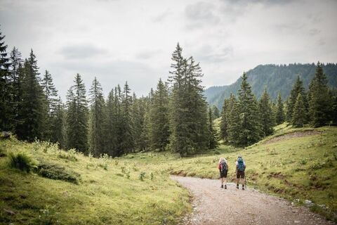 Ersten Meter von Mödlingerhütte nach Johnsbach