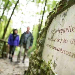 Stefaniequelle_Burgthannerweg_Oststeiermark