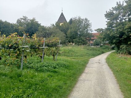 Foto fra simone ravasi underveis på turen