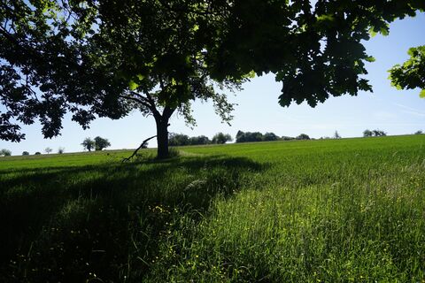 Wiesen und Felder bei Völkersbach