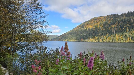 Fotografia z Katja Senkel na trase