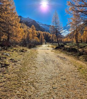 Fotografija s spletne strani Sara Beduglio na poti