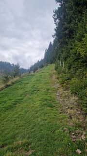 Foto de Daniela Hackl a lo largo del recorrido