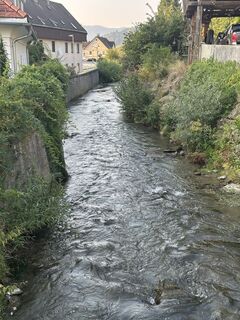 Fotografija s spletne strani Kreva89 na poti