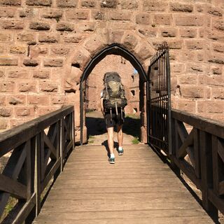 Burg Wangenbourg
