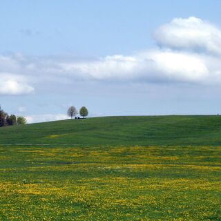 Der Weg führt durch eine Bilderbuchlandschaft zum Vogelparadies Egelsee.