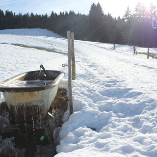 Kleine Details am Wegesrand