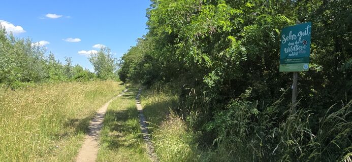 Photo de Hieu Duc Tram (Tudoi61) le long du parcours