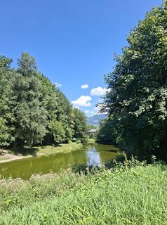 Foto von Mangolein entlang der Tour