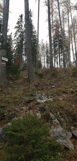 Foto fra petra zöchner undervejs på turen