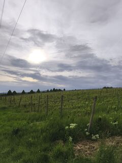 Foto de Peter Wachel a lo largo del recorrido
