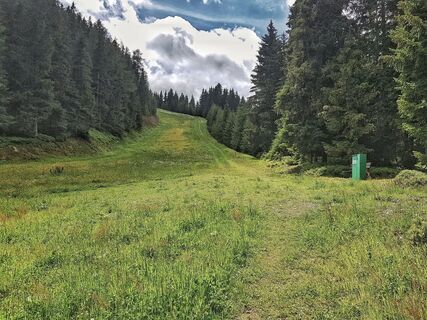 Skipiste am Hochwurzen Trail